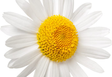 Dzień Walki z Depresją w naszej szkole