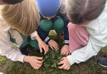 Pierwszy dzień wiosny w oddziale przedszkolnym