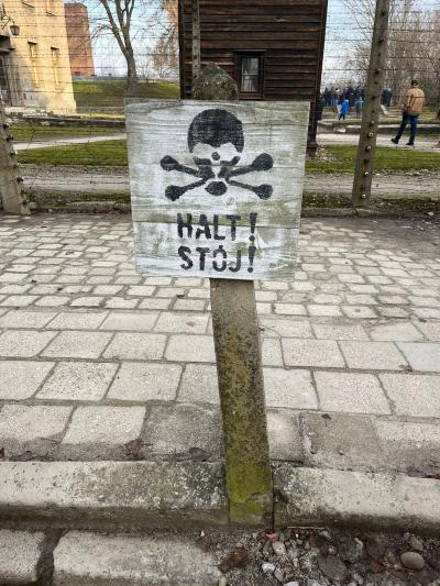 Zdjęcie WhatsApp 2025-12-17 o 11.06.06_d69d6843.jpg